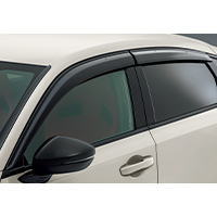 Door visors